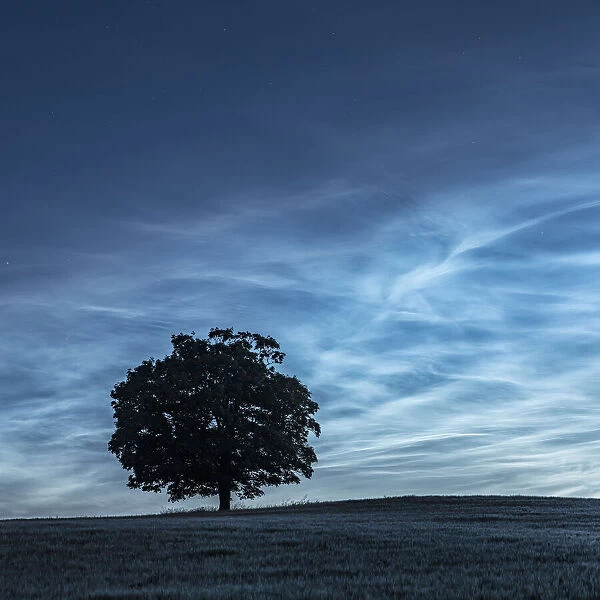 Noctilucent or Night-sining clouds over barley field, Dorchester, Dorset, England, UK