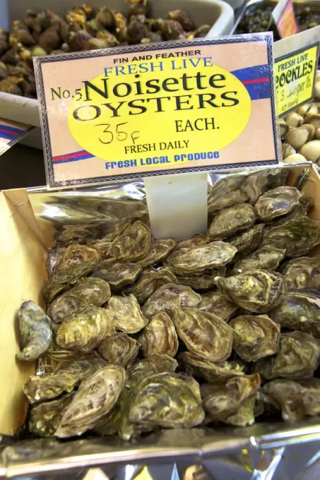 Framed Print : Noisette Oysters, Jersey, Channel Islands