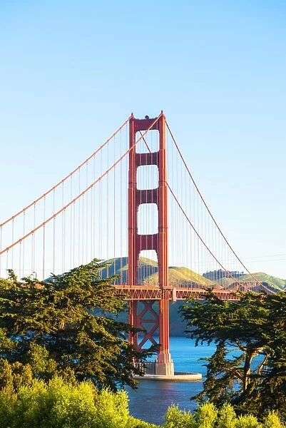 North America, USA, America, California, San Francisco, Golden Gate bridge from the