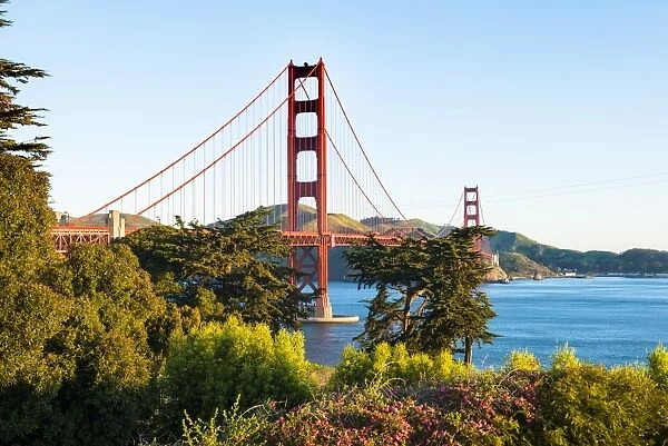 North America, USA, America, California, San Francisco, Golden Gate bridge from the
