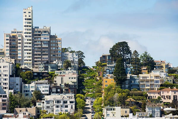 North America, USA, America, California, San Francisco, Lombard street, View of Lombard