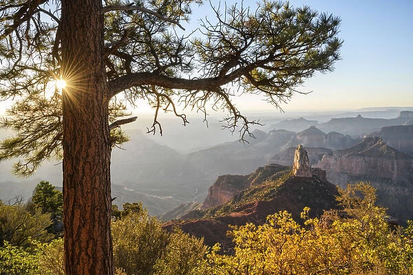 North America, USA, Desert Southwest; Colorado Plateau, Arizona, Grand Canyon National