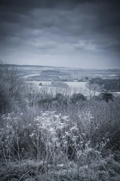 Framed Print : North Downs, Surrey, England, UK Framed Print : North Downs, Surrey, England, UK