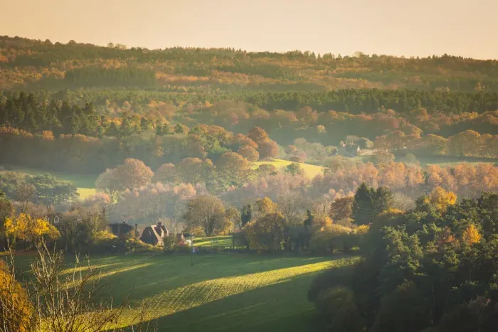 Framed Print : North Downs, Surrey, England, UK