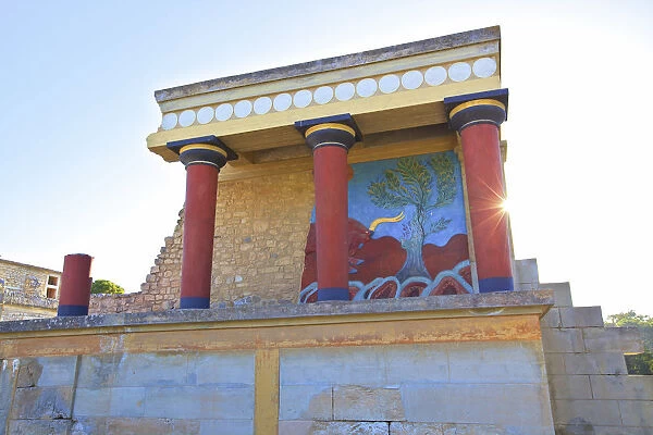 North Entrance With A Charging Bull And Olive Tree Fresco, The Minoan Palace Of Knossos