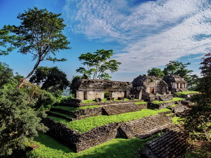 Framed Print : North Group, elevated view, Palenque Archaeological Site, Palenque, Chiapas State, Mexico Framed Print : North Group, elevated view, Palenque Archaeological Site, Palenque, Chiapas State, Mexico