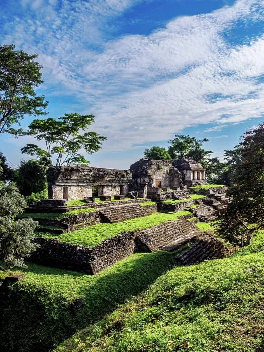 Framed Print : North Group, elevated view, Palenque Archaeological Site, Palenque, Chiapas State, Mexico Framed Print : North Group, elevated view, Palenque Archaeological Site, Palenque, Chiapas State, Mexico