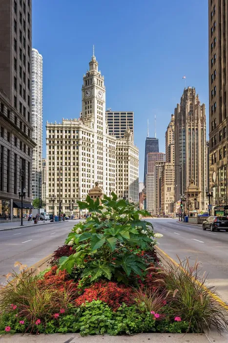 Framed Print : North Michigan Avenue (The Magnificent Mile), Chicago, Illinois, USA Framed Print : North Michigan Avenue (The Magnificent Mile), Chicago, Illinois, USA