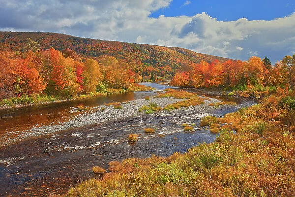 The North River and the Acadian forest in autumn foliage North River, Nova Scotia, Canada