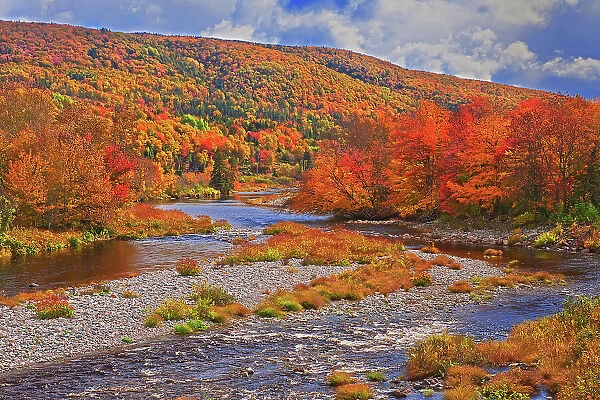 The North River and the Acadian forest in autumn foliage North River, Nova Scotia, Canada