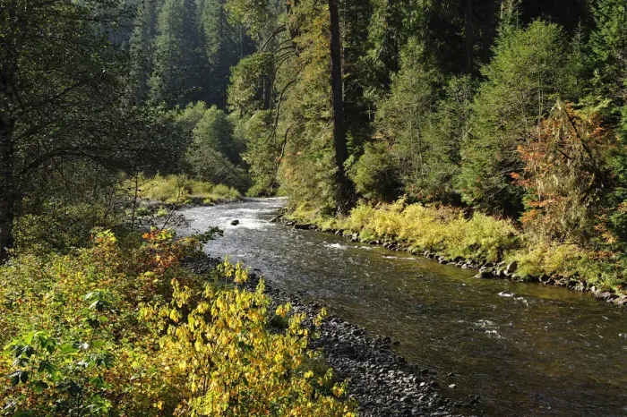 Framed Print : North Santiam River, Cascade Mountains, Oregon, USA
