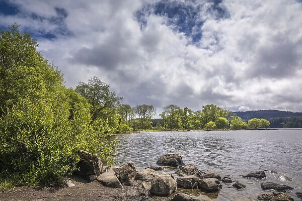 North shore of Loch Ard at Ledard, Loch Lomond and The Trossachs National Park, Stirling