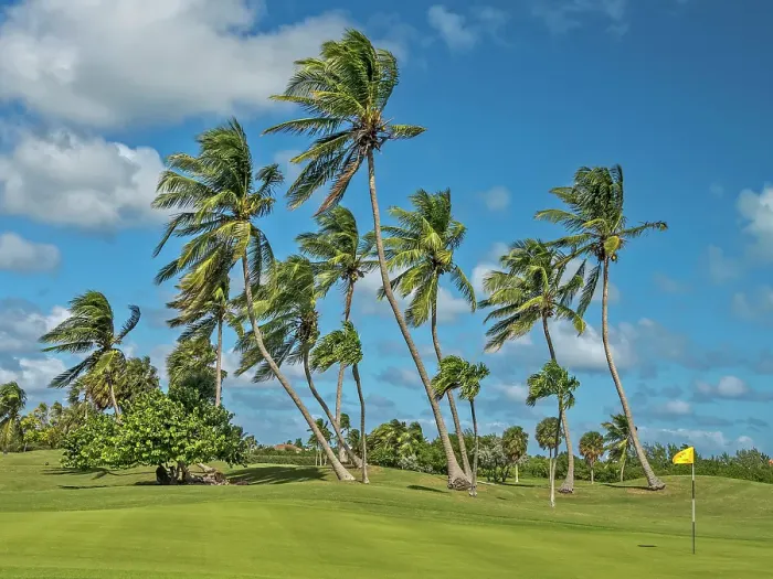Framed Print : North Sound Golf Club on Grand Cayman, Cayman Islands, British West Indies Framed Print : North Sound Golf Club on Grand Cayman, Cayman Islands, British West Indies