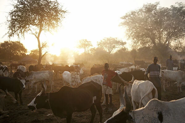 Northern Bahr el Ghazal, South Sudan. Dawn at a Cattle camp