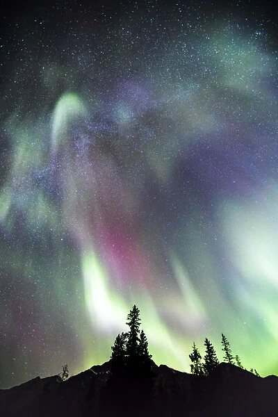 Northern lights (Aurora Borealis), Jasper National Park, Alberta, Canada