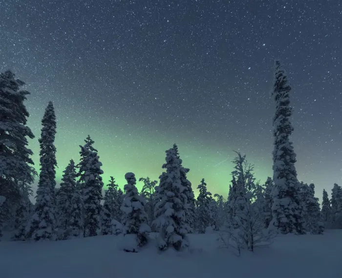 Framed Print : Northern lights over the frozen trees of Lapland in winter, Akaslompolo Framed Print : Northern lights over the frozen trees of Lapland in winter, Akaslompolo