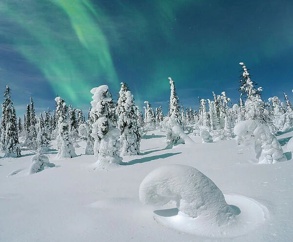 Northern Lights in the night sky over ice sculptures wrapped in snow, Lapland, Finland