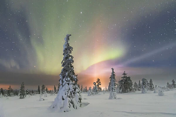 Northern lights at Pallas-Yllastunturi National Park, Muonio, Lapland, Finland