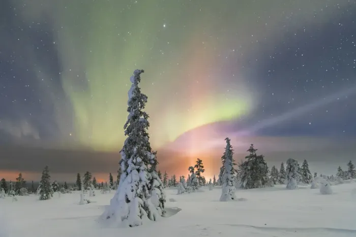 Framed Print : Northern lights at Pallas-Yllastunturi National Park, Muonio, Lapland, Finland