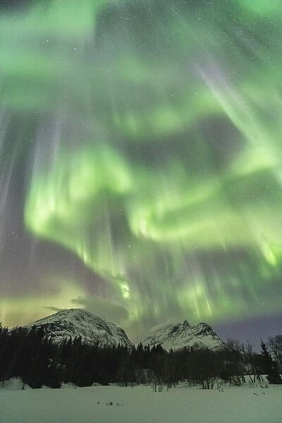Northern lights in the sky above mountain peaks and trees