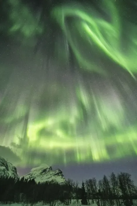 Framed Print : Northern lights in the sky above mountain peaks and trees Framed Print : Northern lights in the sky above mountain peaks and trees