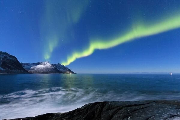 Northern lights above Steinfjorden. Tungeneset, Ersfjorden, Senja, Norway, Europe
