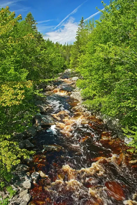 Framed Print : Northwest Arm Brook, Near Sherbrooke, Nova Scotia, Canada Framed Print : Northwest Arm Brook, Near Sherbrooke, Nova Scotia, Canada