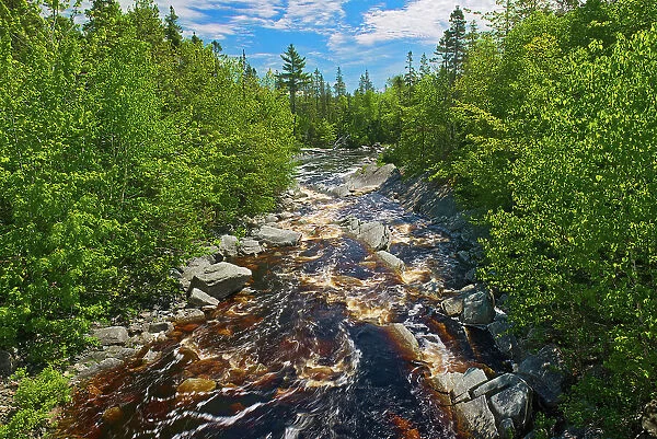 Northwest Arm Brook, Near Sherbrooke, Nova Scotia, Canada