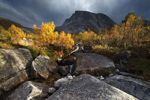 Norway, Nordland, Rocky mountains and autumn colors in Nordland region, northern Norway