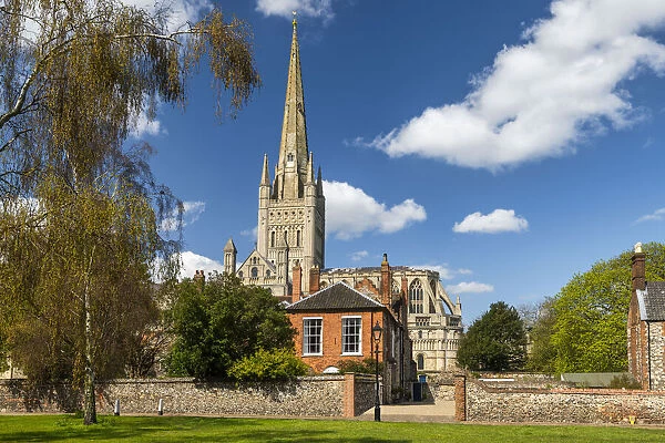 Norwich Cathedral in Spring, Norwich, Norfolk, England