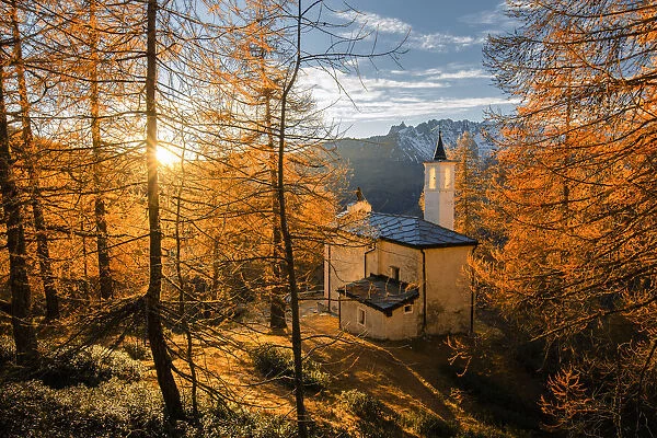 Notre-dame-de-guarison in Cheneil with larches in foliage, Valtournenche, Aosta Valley