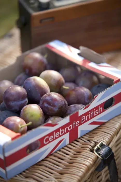 Framed Print : Nottinghamshire, UK. Box of British fruit at a late summer family picnic. (MR) Framed Print : Nottinghamshire, UK. Box of British fruit at a late summer family picnic. (MR)