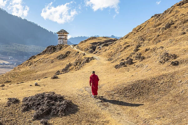 Novice Monk (Child Monk) walking in Phobjikha Valley, Bhutan