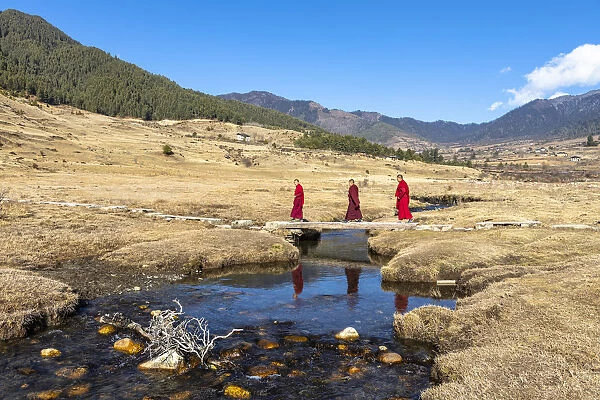 Novice Monks (Child Monks) crossing a river in Phobjikha Valley, Bhutan