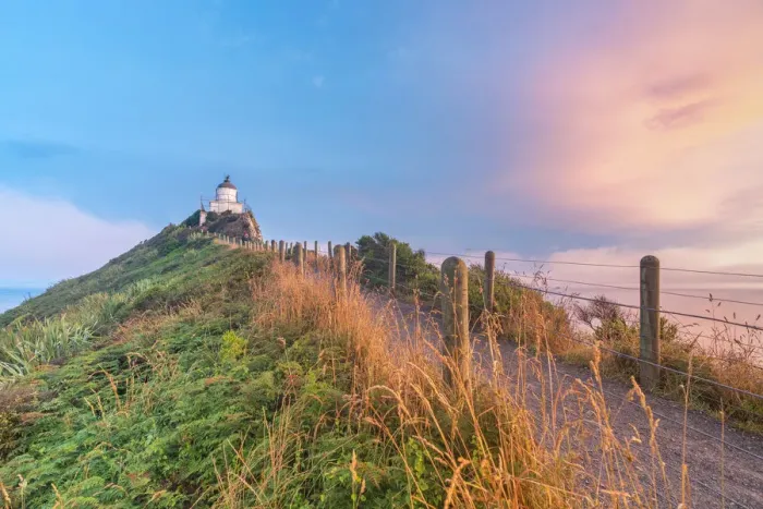 Framed Print : Nugget Point lighthouse at sunset. Ahuriri Flat, Clutha district, Otago region, South Framed Print : Nugget Point lighthouse at sunset. Ahuriri Flat, Clutha district, Otago region, South