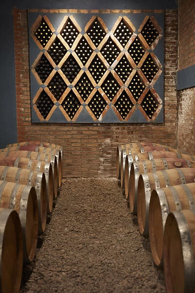 Oak barrels and vintage wine bottles in the cave of the Bodega 'Las Arcas de Tolombon' winery, Colalao del Valle, Calchaqui Valleys, Tucuman, Argentina