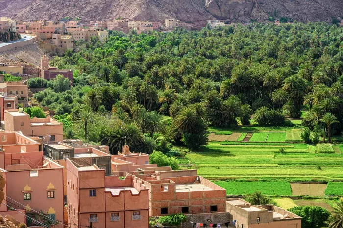 Framed Print : Oasis and buildings, Tinghir, Tinghir, Morocco Framed Print : Oasis and buildings, Tinghir, Tinghir, Morocco