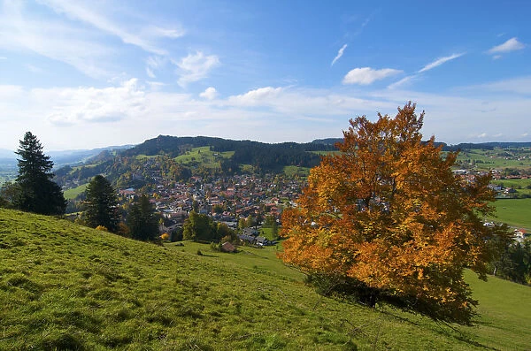 Oberstaufen, Allgaeu, Bavaria, Germany