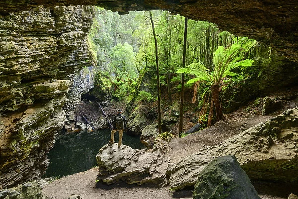 Oceania, Australia, Tasmania, Tarkine Forest at Trowutta Arch. MR