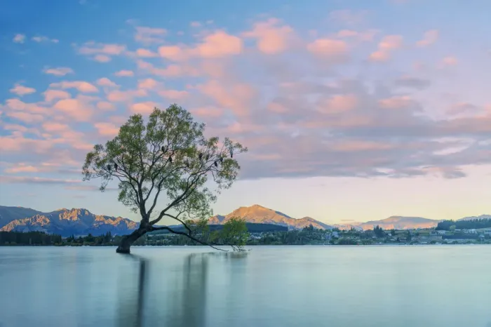 Framed Print : Oceania, New Zealand, Aotearoa, South Island, Otago, Lake Wanaka Framed Print : Oceania, New Zealand, Aotearoa, South Island, Otago, Lake Wanaka