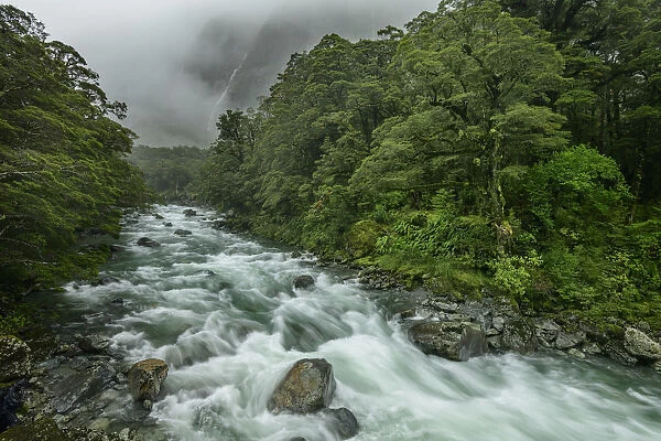 Oceania, New Zealand, Aotearoa, South Island, Te Anau, Southland, Fiordland National Park