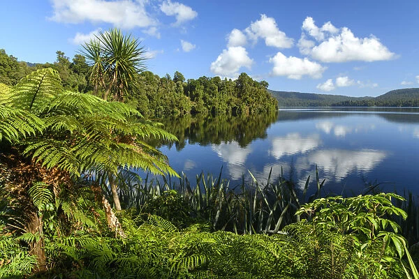 Oceania, New Zealand, Aotearoa, South Island, West Coast, Lake Paringa