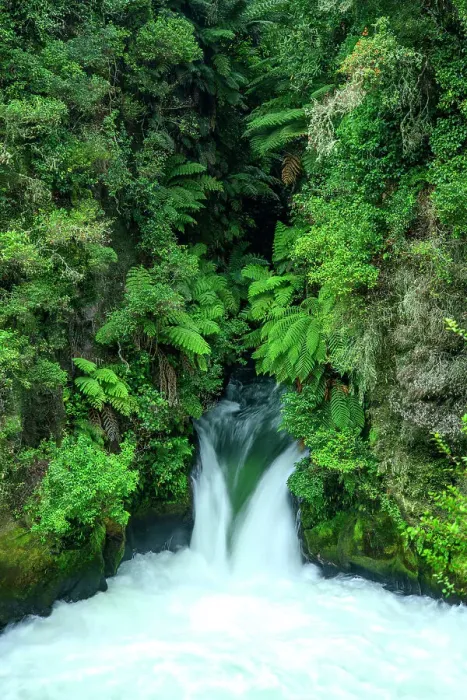 Framed Print : Oceania, New Zealand, North Island, Rotorua, Okere River, Tutea Falls Framed Print : Oceania, New Zealand, North Island, Rotorua, Okere River, Tutea Falls