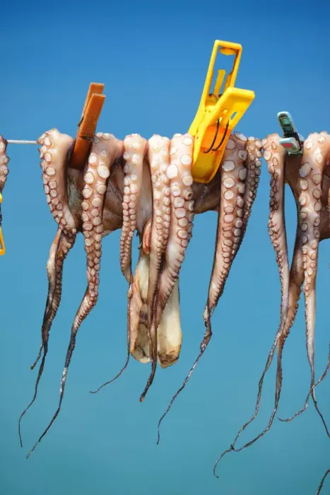 Framed Print : Octopus drying in the sun, Plaka, Crete, Greece, Europe Framed Print : Octopus drying in the sun, Plaka, Crete, Greece, Europe