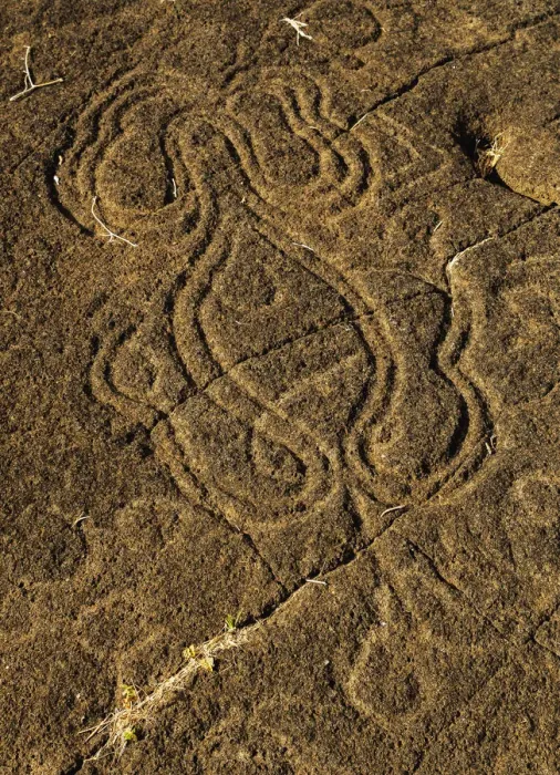 Framed Print : Octopus Petroglyph Papa Mangai in Papa Vaka, Rapa Nui National Park, Easter Island