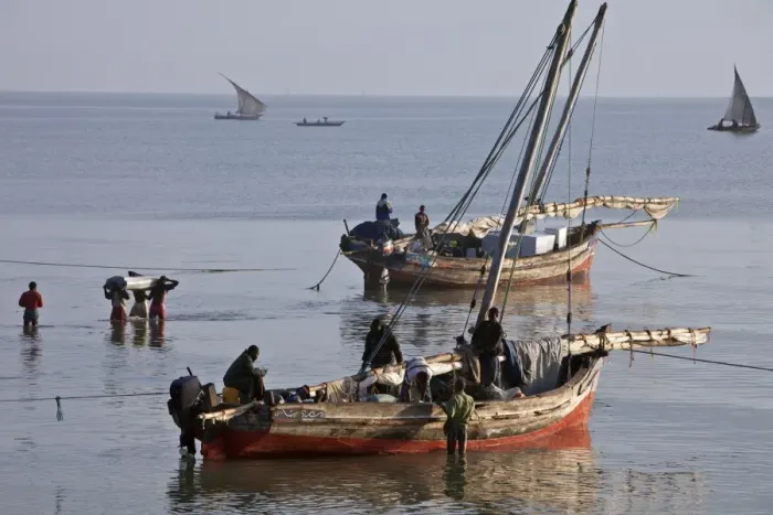 Framed Print : Off-loading cargo from dhows from Zanzibar at dawn Framed Print : Off-loading cargo from dhows from Zanzibar at dawn