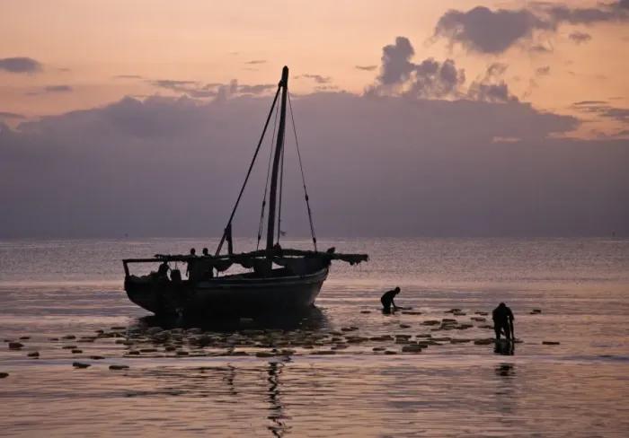 Framed Print : Off-loading a cargo of edible oil from a dhow from Zanzibar at dawn Framed Print : Off-loading a cargo of edible oil from a dhow from Zanzibar at dawn