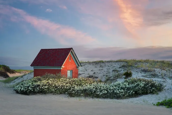 Framed Print : Oil house surrounded by blooming beach plum flowers, Cape Cod, Provincetown, Massachusetts, USA
