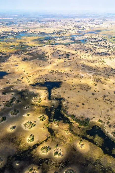 Framed Print : Okavango Delta, Botswana, Africa
