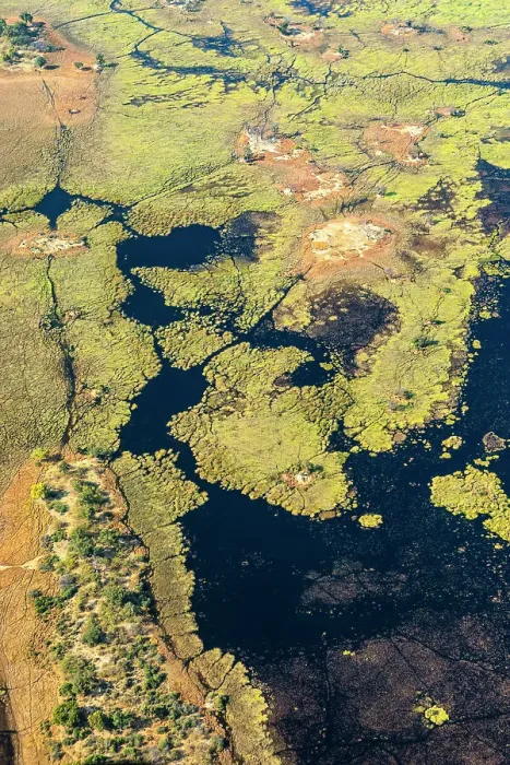 Framed Print : Okavango Delta, Botswana, Africa Framed Print : Okavango Delta, Botswana, Africa